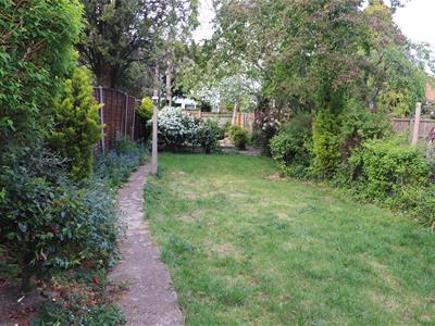Picture 9